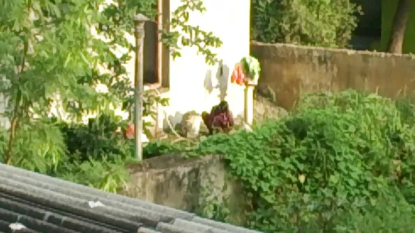 Redbone Xeena Mae plaukė baseine ir nubėgo šokti ant penio.