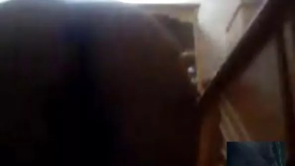 Silikoninės lesbietės laižo makštį ir varo į vidų didelį dildę.